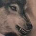 Wolves,healed. Tattoo Design Thumbnail